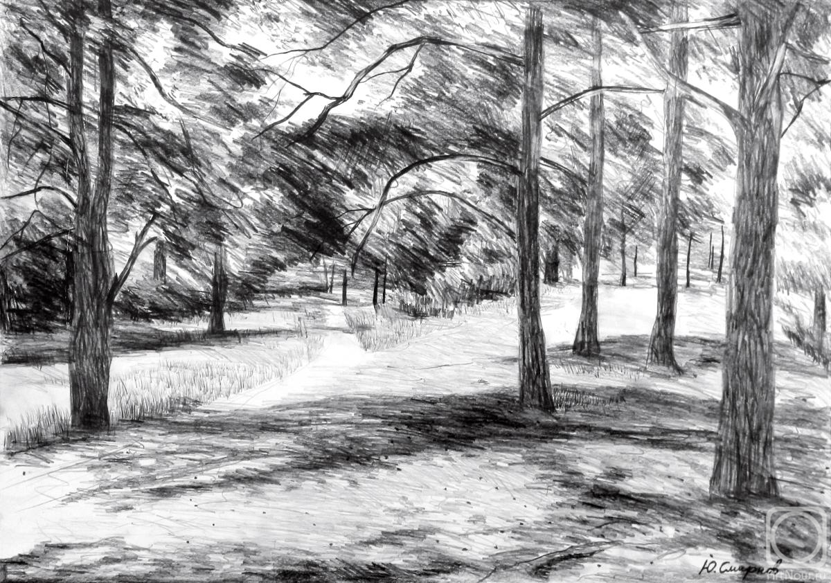 �������. ������� ����. ���������� ����