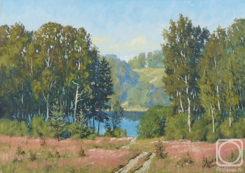 Cherdakov Vyacheslav. Path to the river