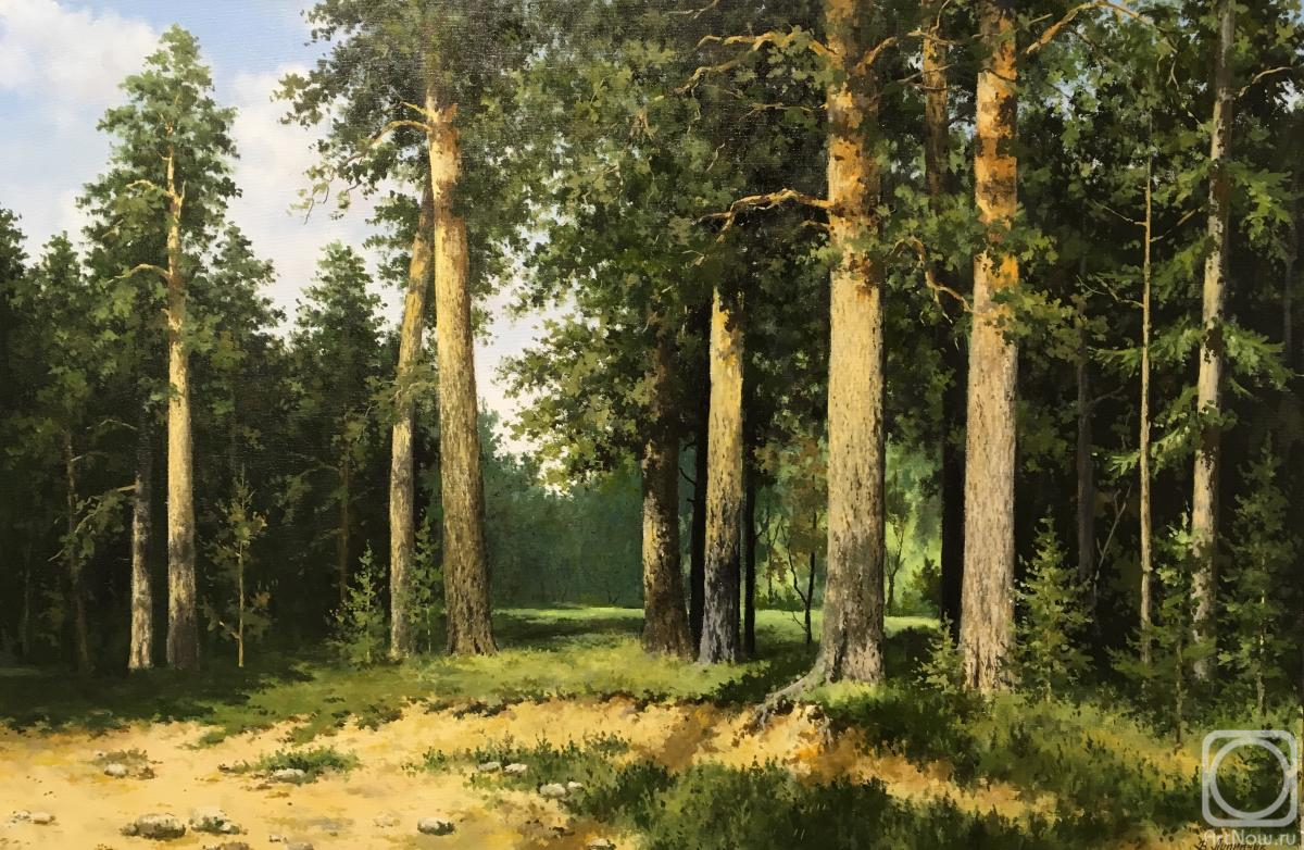 Lupiychuk Viktor. Pine forest