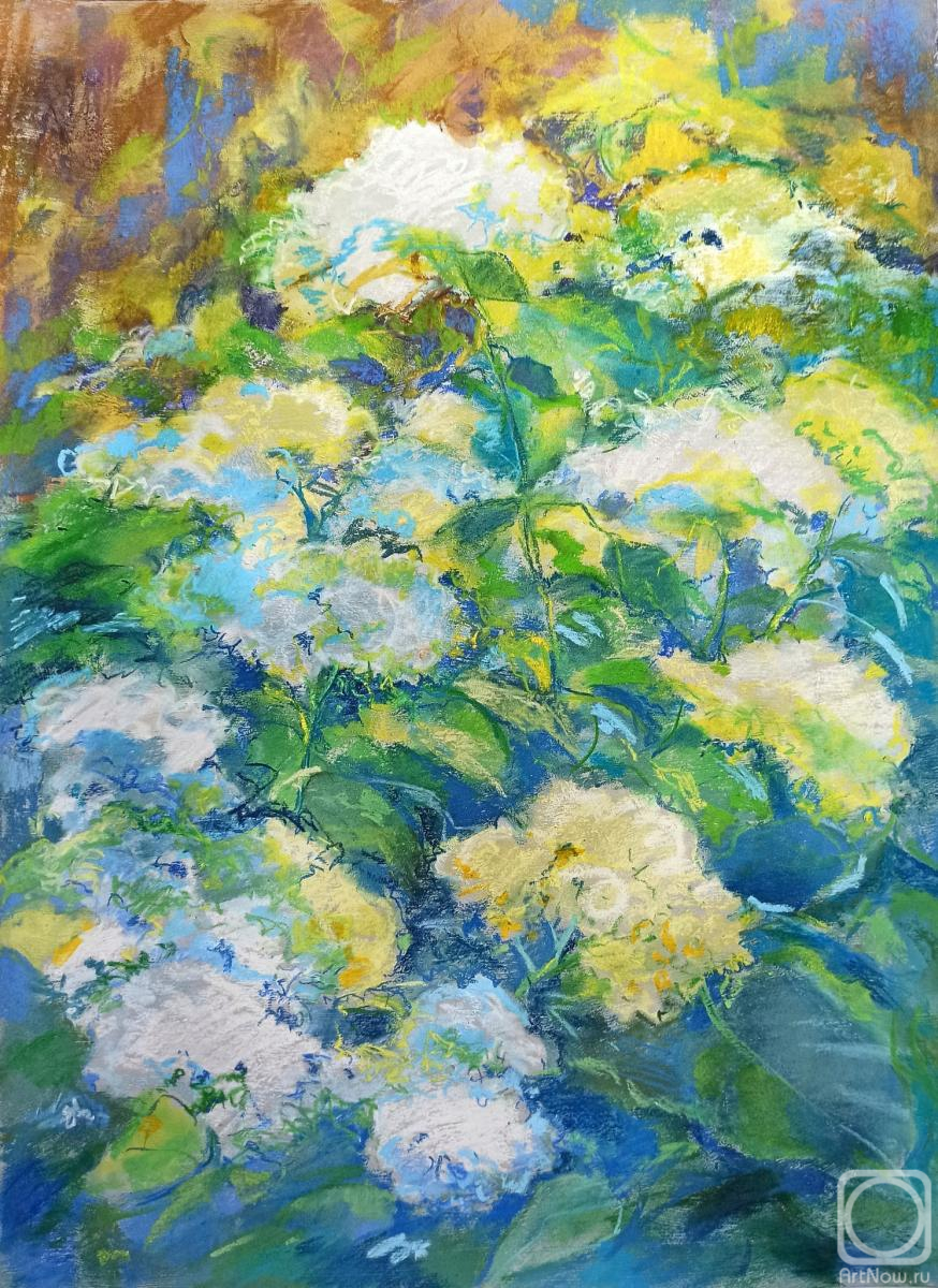 �������. ���������� ����. �������� ��������� (����)