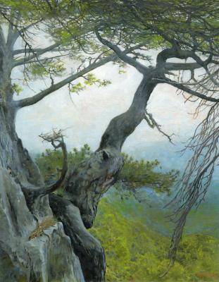 May in the Crimean Mountains (). Chernov Denis