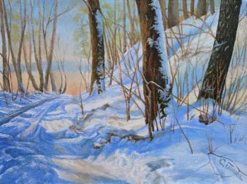 Shadows on snow (Winter Painting). Gaponov Sergey