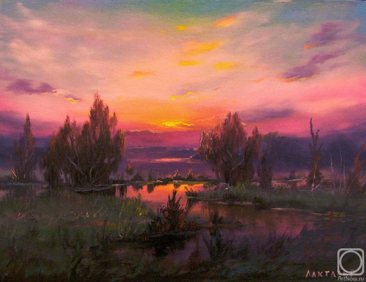 Laktaev Roman. Untitled