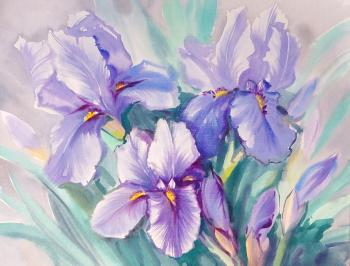 Irises (Buy). Mikhalskaya Katya