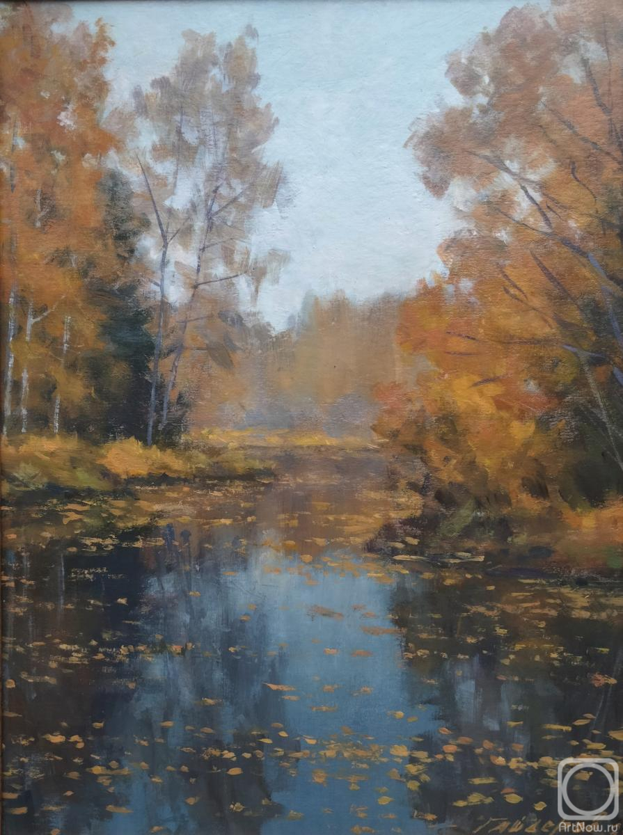 Gaiderov Michail. Autumn Backwater