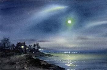 In the moonlight #11 (Night Sky). Gorbacheva Evgeniya