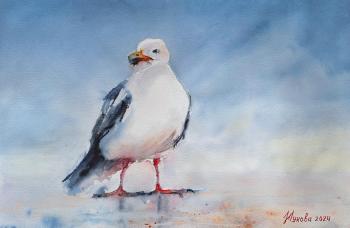 Seagull (Watercolor Painting Sea). Zhukova Marina