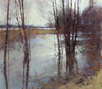 Spring waters (Trees On Shore). Zhilov Andrey