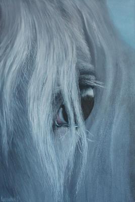 Eye (Horse Eyes). Kiselevich Gennadiy