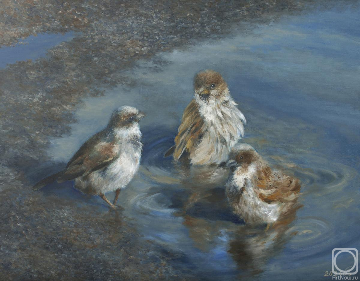 ������� ������ �� ������. �������� ������. �������� �������