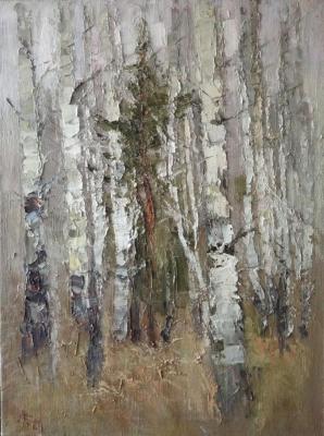 Silver Forest (Summer Birch). Bolotskaya Lyudmila