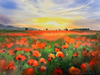 Poppy field at sunset (Flowers In Watercolor). Gorbacheva Evgeniya