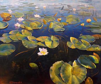 Water Lilies. Semenov Konstantin