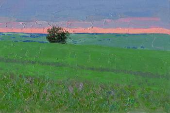 Sunset in a pea field (Green Field). Kozhin Simon