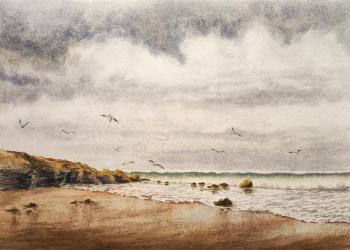 Storm and Seagulls. Katrenko Vyacheslav