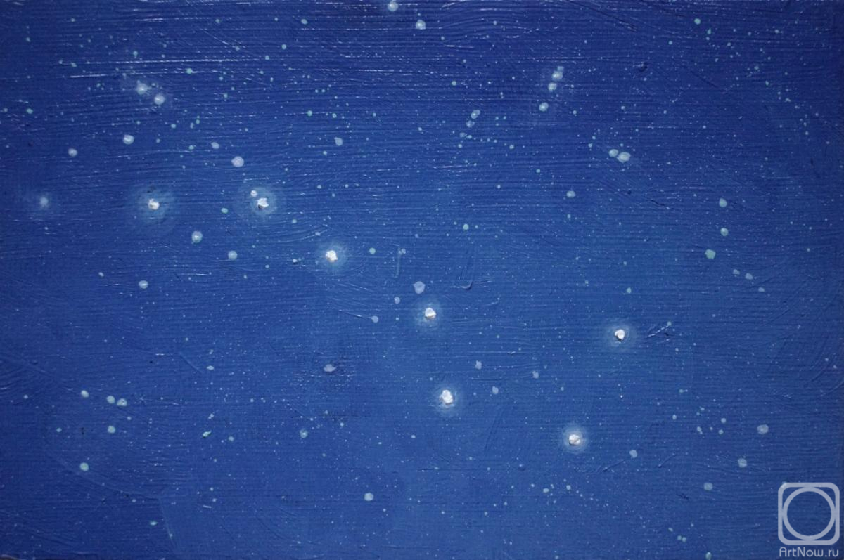 Fyodorova-Popova Tatyana. The constellation Ursa Major
