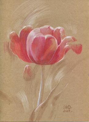 Tulip 4 (Spring Flower). Zhukovskaya Yuliya