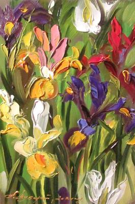 Wild irises. Schubert Albina