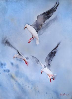 Seagulls. Zhukova Marina