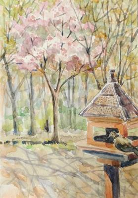 Cherry blossoms (Japan). Gorenkova Anna