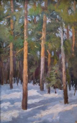 Krasnolesye, February (February S Forest). Popov Sergey