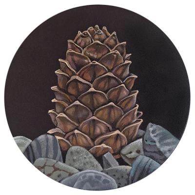 Cedar cone (). Belova Asya