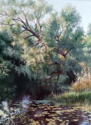 Summer. The river Voronezh (Water-Lilies). Panasyuk Natalia