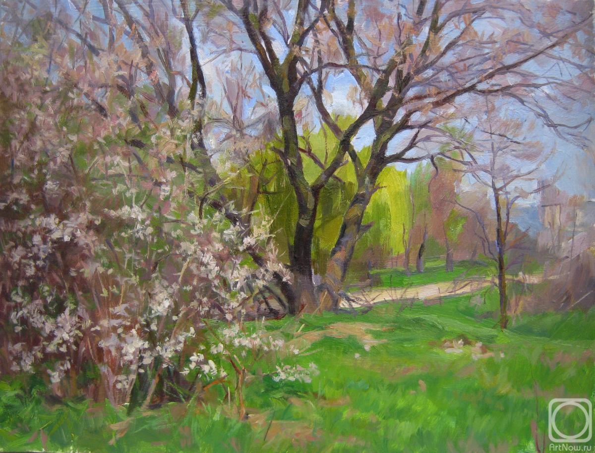 ������� ������ �� ������. ������� ��������. ����� ����