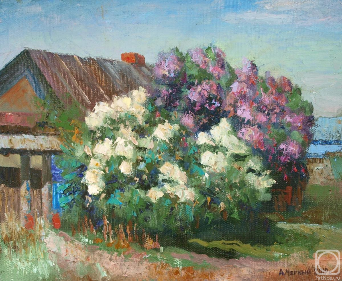 Chernyy Alexandr. Lilac at the village house