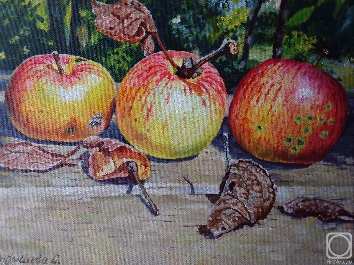 ������� ������ �� ������. ��������� ��������. ������� � �������