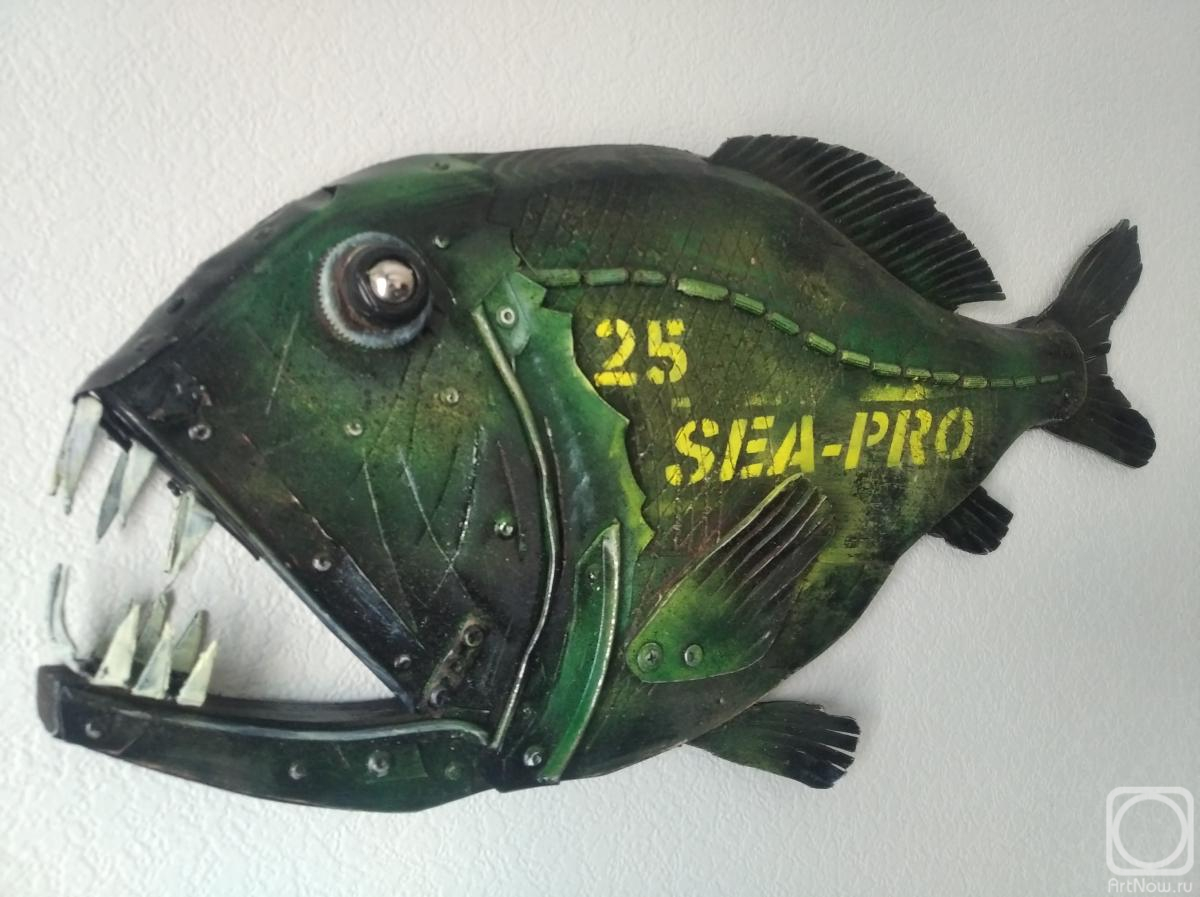������ �������. ���� � 25 �.2 Sea-pro