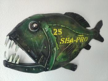   25 Sea-pro  2.  