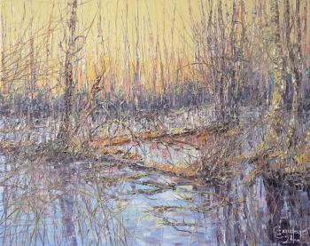 Shore of the blue swamp ( ). Smirnov Sergey