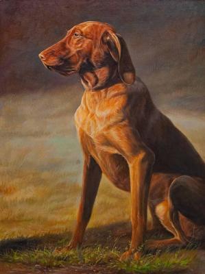 Hungarian Vizsla (Dog Portrait). Kamskij Savelij