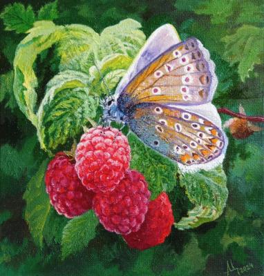 Raspberry (Insect Painting). Tsygankov Alexander