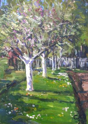 ������� ����