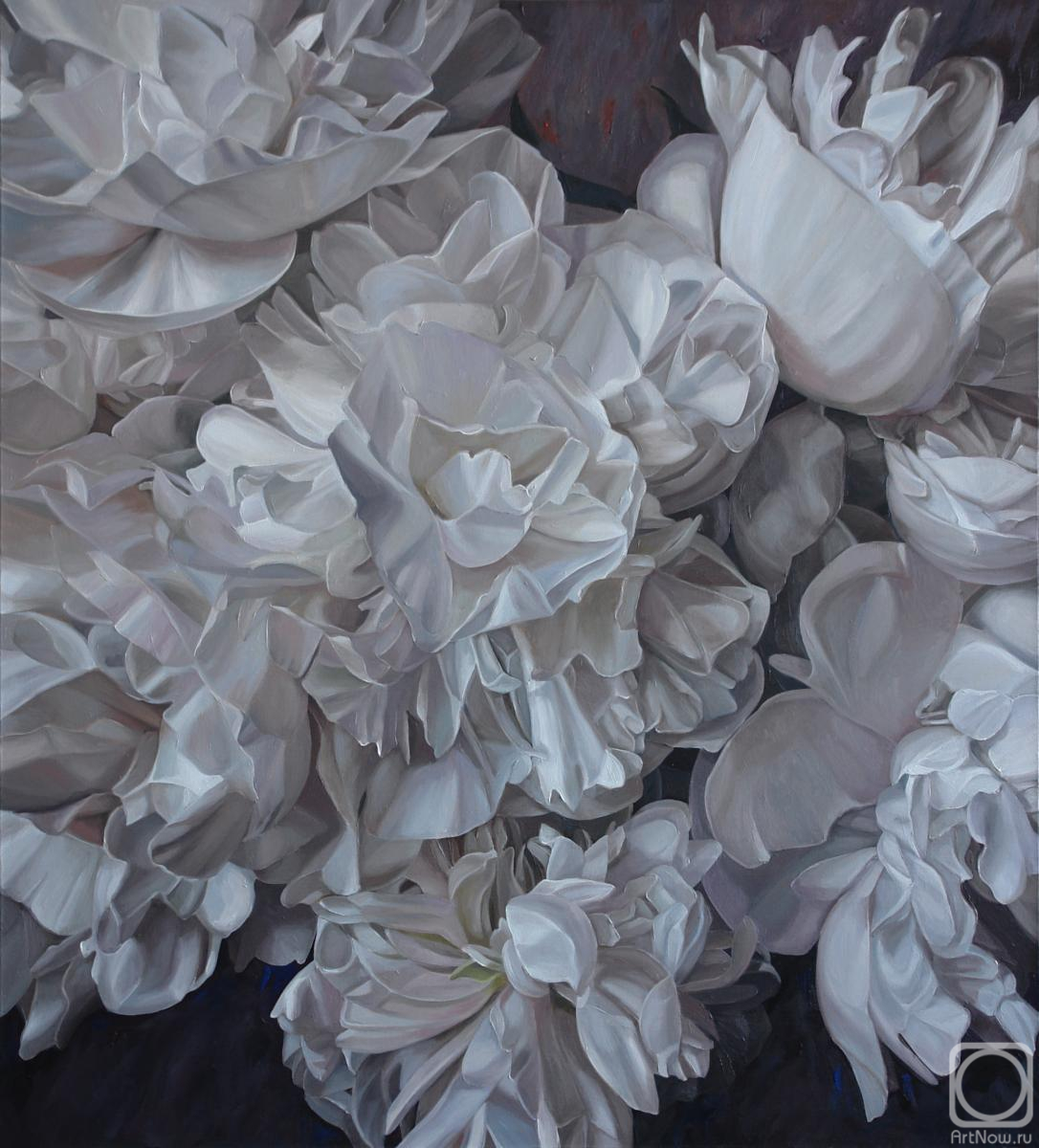 ������� ������ �� ������. ���������� ���������. ������� ����� ������