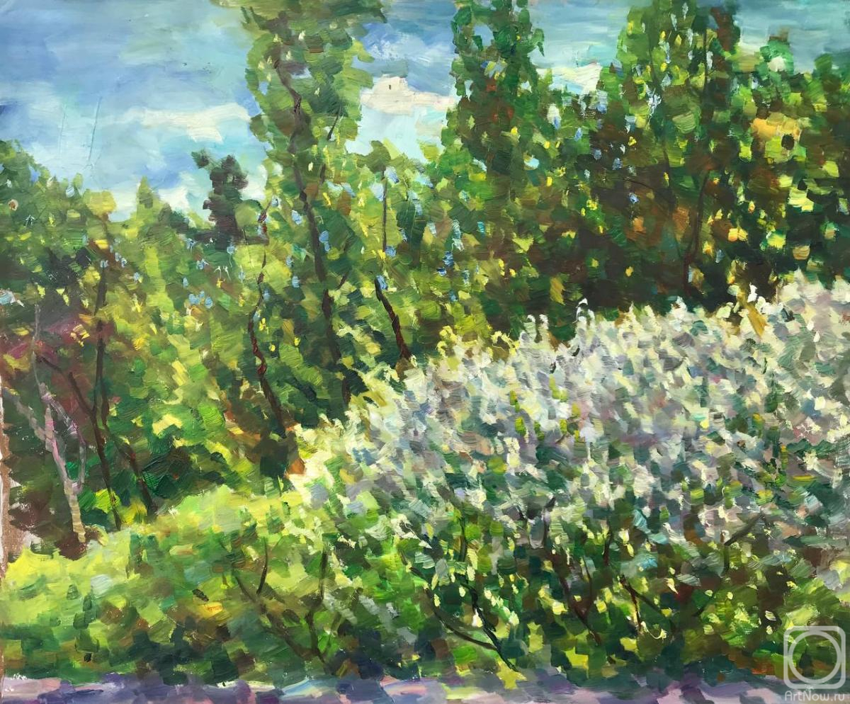 �������. ������ ��������. �������� ���