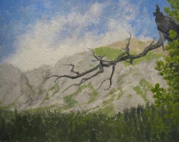 Branch. Petuhov Dmitriy