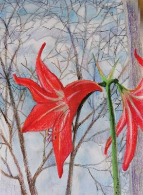 ��������� � ����. ��������� ����