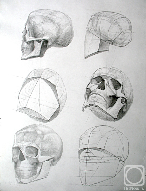 Yudaev-Racei Yuri. Human Skull
