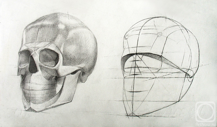 Yudaev-Racei Yuri. Human Skull (detail of next page list)