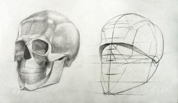 Human Skull (detail of next page list). Yudaev-Racei Yuri