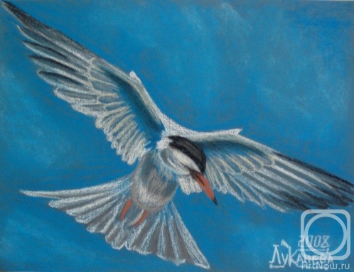 �������. �������� ������. ��� �����