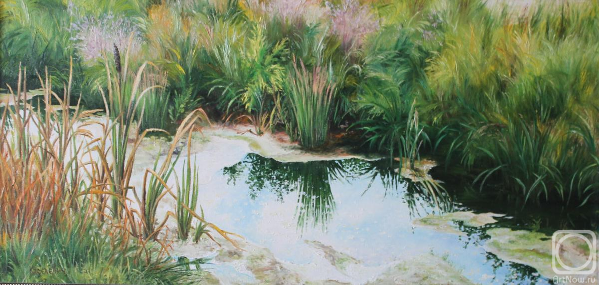 ������� ������ �� ������. ��������� ��������. ����