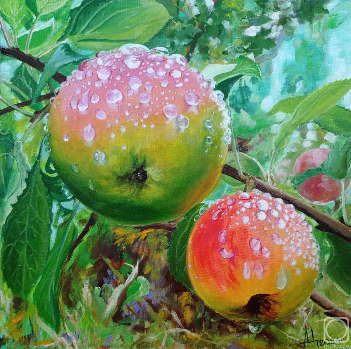Tsygankov Alexander. Siberian apples