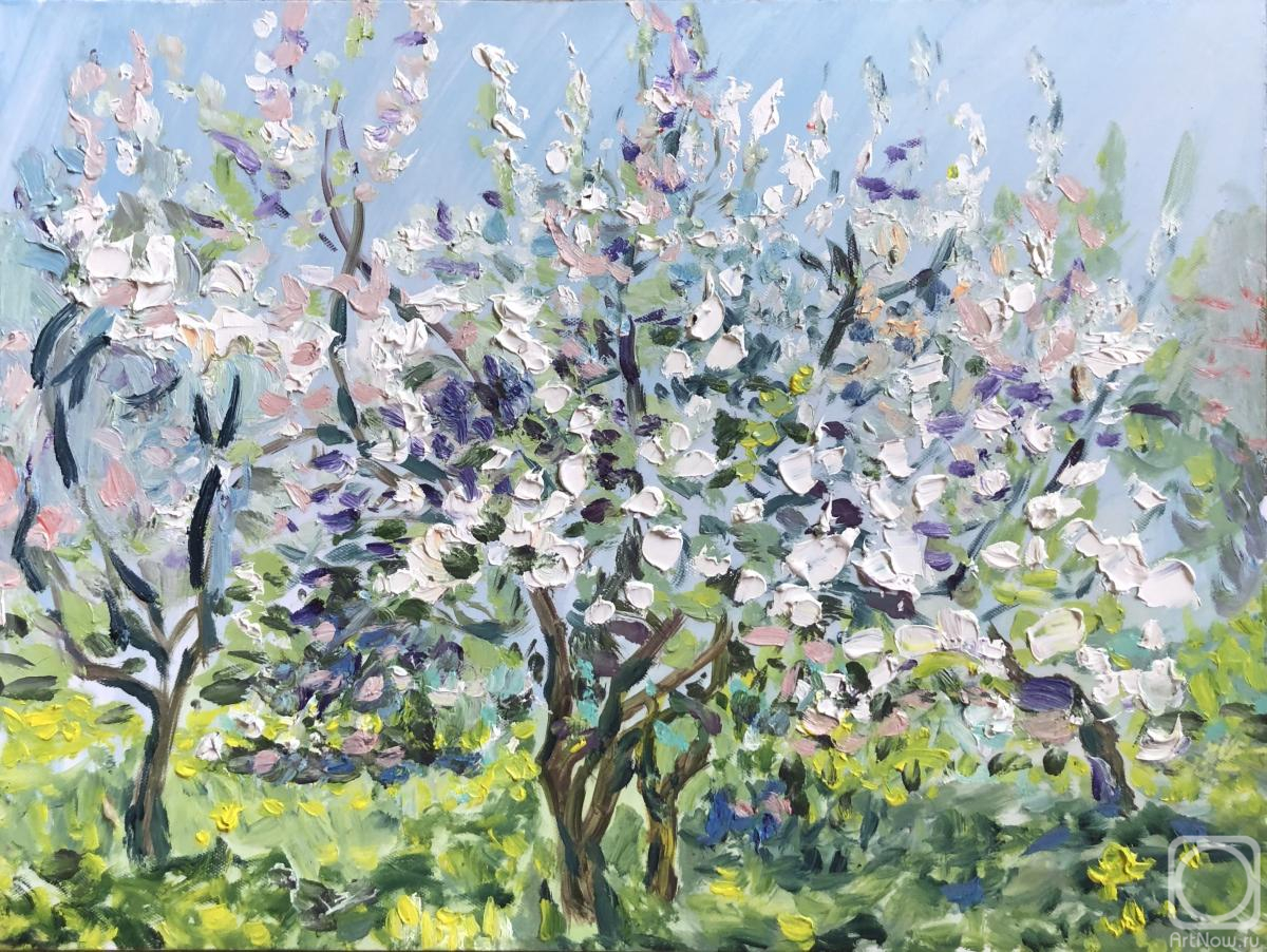 ������� ������ �� ������. ����� ������. ������ ������ � ����������� ����