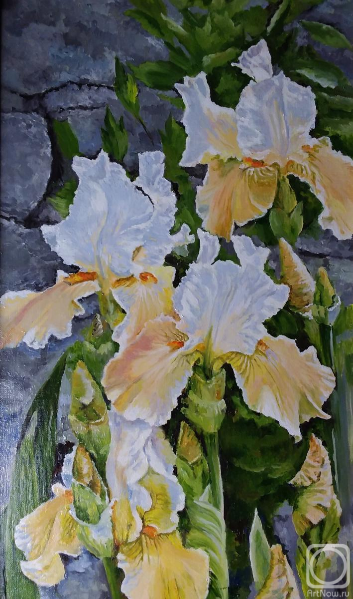 ������� ������ �� ������. ��������� ��������. ��������� �����