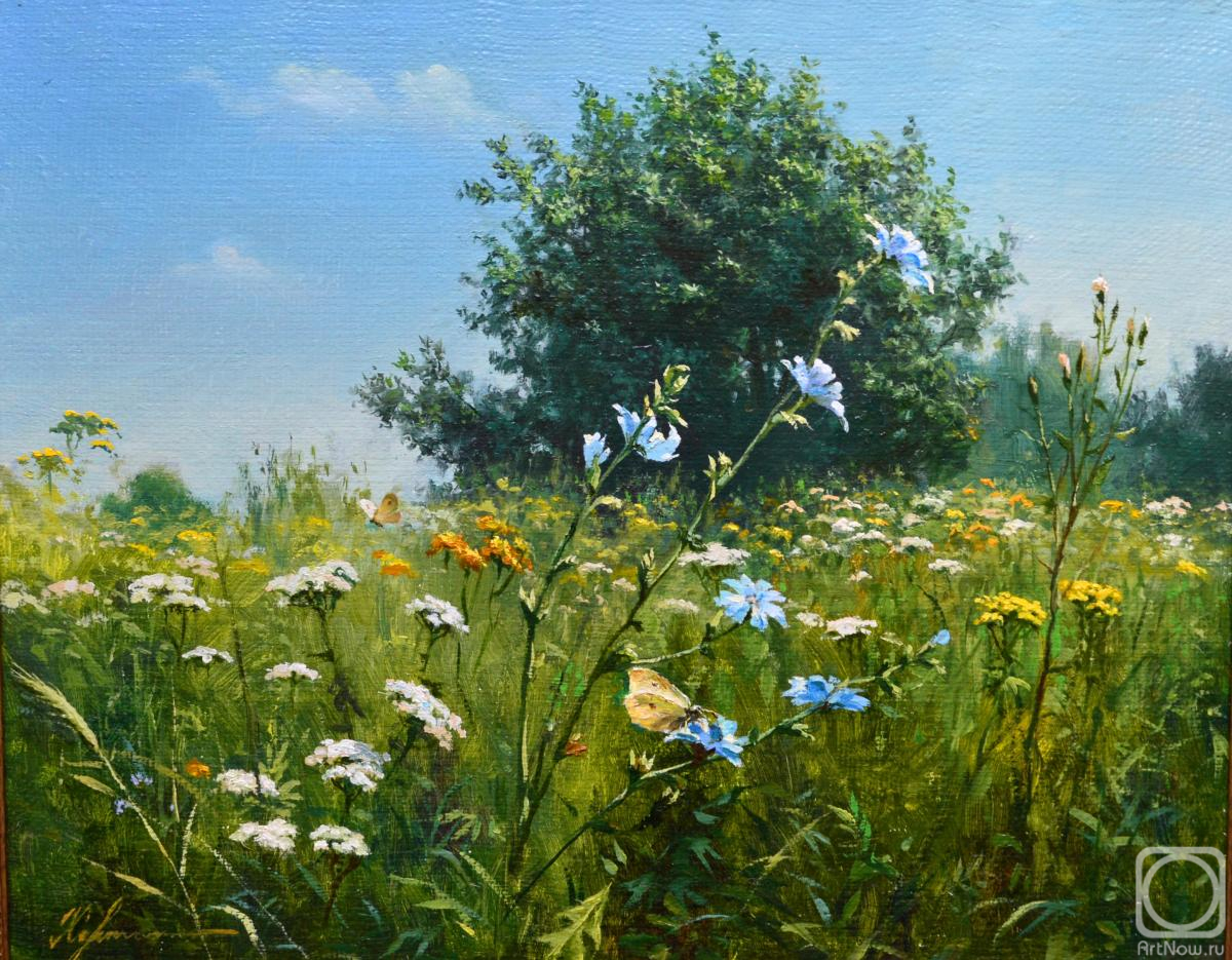 ������� ������ �� ������. �������� ����. �����������