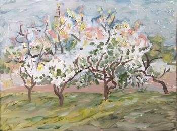 Evening blossoming apple trees in an abandoned garden. Sechko Xenia